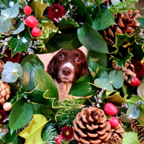 Luxury Wreath Making   Dornoch £53